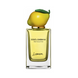 Dolce & Gabbana Lemon Fruit Collection EDT