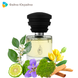 Masque Milano L`Attesa edp, Италия