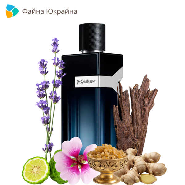 Yves Saint Laurent Y L'Elixir parfum, Франція
