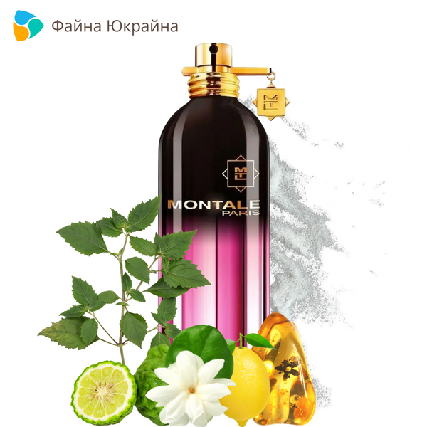 Montale Starry Nights EDP