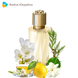 Versace Atelier Jasmin au Soleil EDP