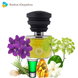 Masque Milano Romanza edp, Италия