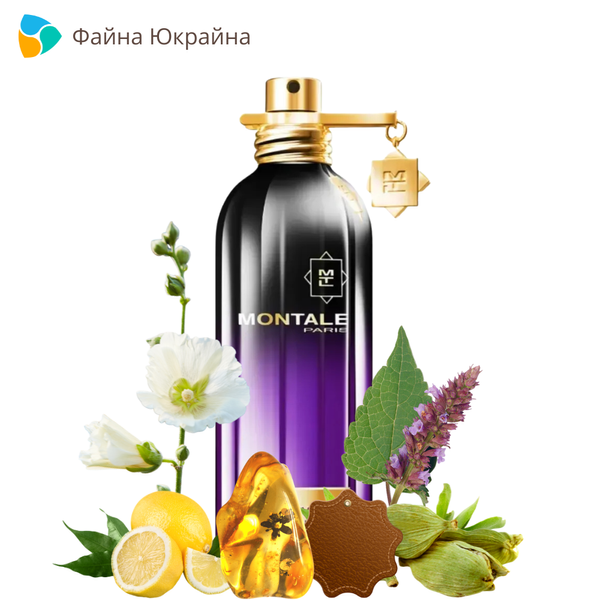 Montale Dark Vanilla EDP