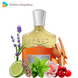 Creed Viking Cologne