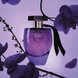 Victoria's Secret Very Sexy Orchid edp, США